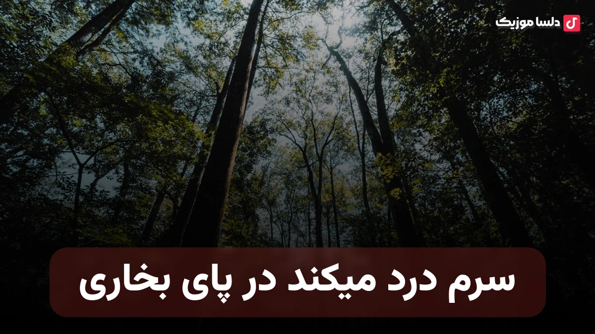 سرم درد میکند در پای بخاری دلم شورمیخوره اززندگانی